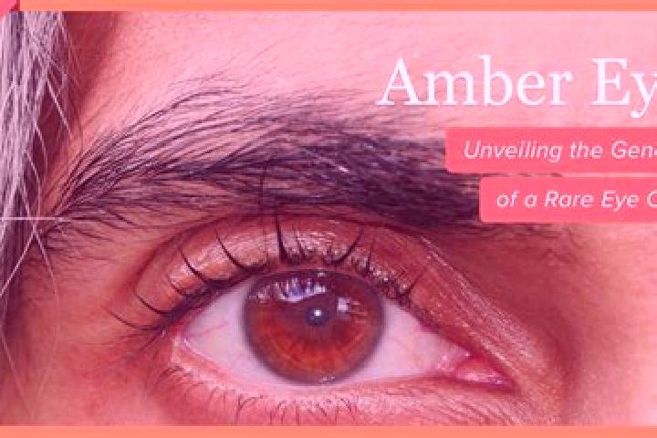 Ruby, 32, a dark blonde amber-eyed european companion based in Waldolwisheim. Offering CIM, Fetish, Domination. Available for incall and outcall, day and eve...