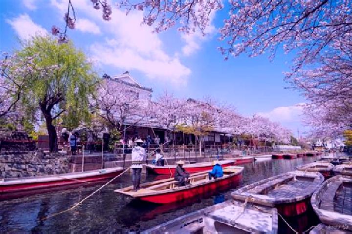 Ruby, 32 — Escort in Dazaifu, Japan