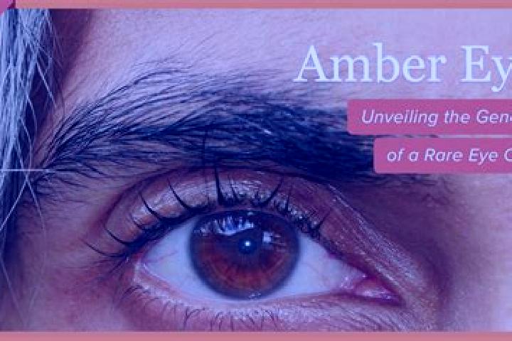 Ruby, 34, a black amber-eyed middle eastern companion based in Claregalway. Offering Duos, Striptease, Roleplay, Travel Companion, Tantra. Available for inca...