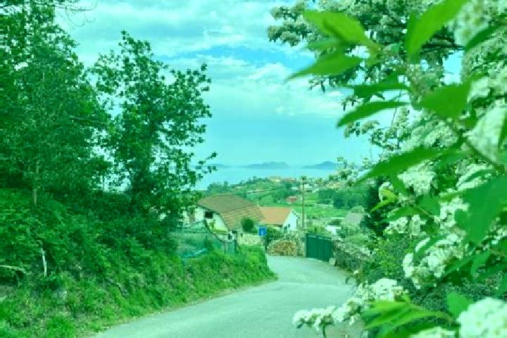 Ruby, 35 — Escort in Celada del Camino, Spain