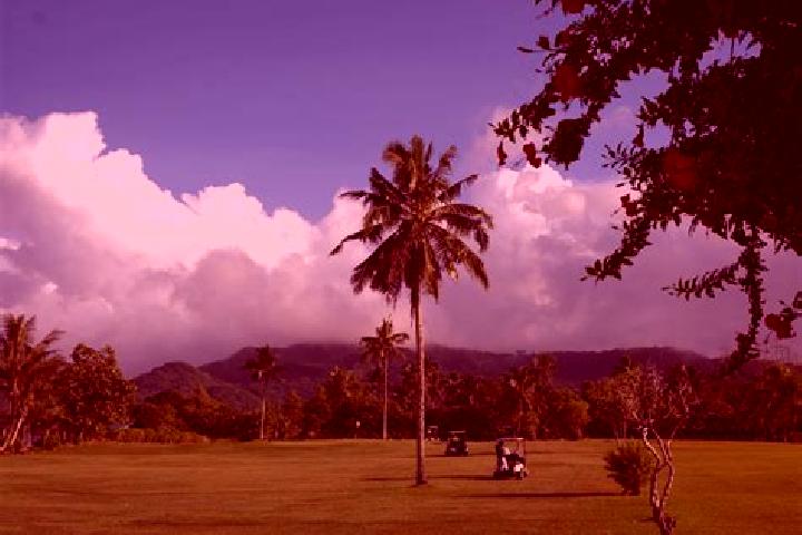Ruby, 35 — Escort in Ili ili, American Samoa