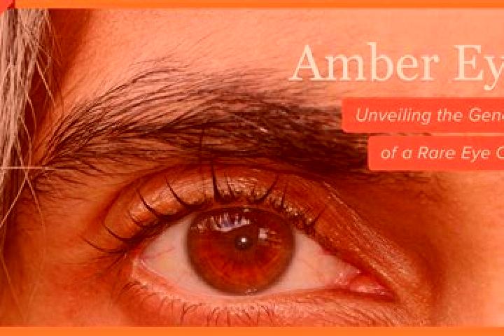 Ruby, 36, a black amber-eyed caucasian companion based in Bobota. Offering Massage, Deep French Kissing, Roleplay. Available for incall and outcall, overnigh...