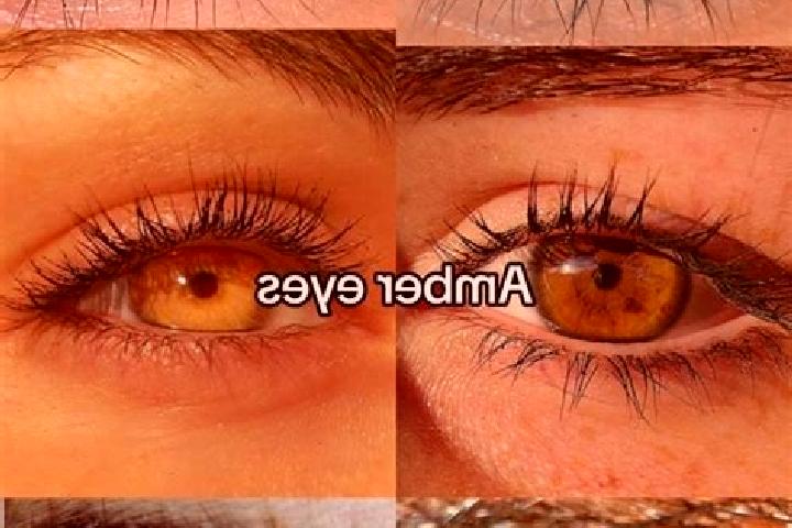 Ruby, 36, a chestnut amber-eyed caucasian companion based in Mola di Bari. Offering OWO, Dinner Date, Couples. Available for incall and outcall, overnight bo...