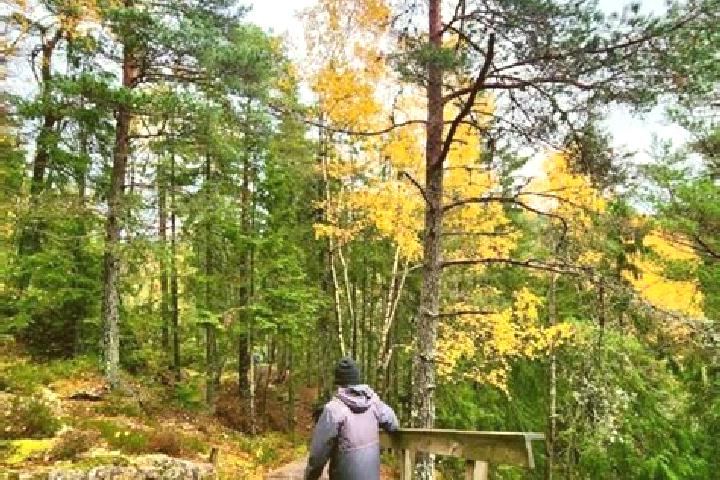 Ruby, 36 — Escort in Alingsas, Sweden