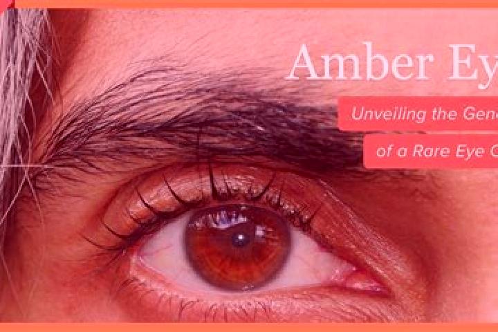 Ruby, 37, a red amber-eyed middle eastern companion based in Mitocu Dragomirnei. Offering Dinner Date, Girlfriend Experience, GFE, CIM, Fetish. Available for...