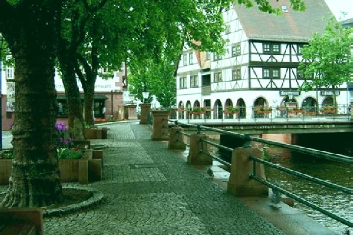 Ruby, 38 — Escort in Erbach, Germany