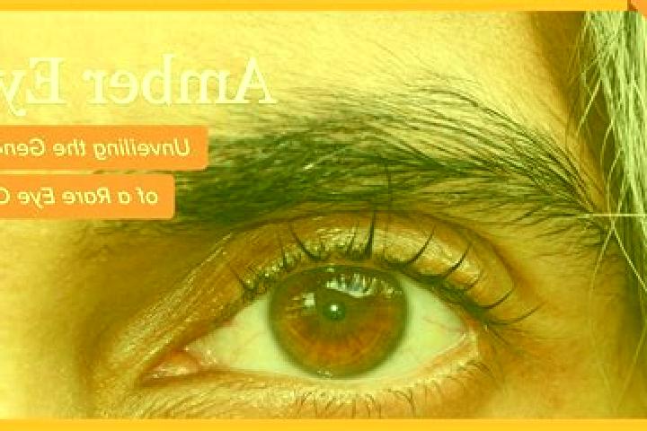 Sadie, 20, a red amber-eyed asian companion based in Brecht. Offering Massage, Dinner Date, BDSM, Roleplay. Available for incall and outcall, day and evening...