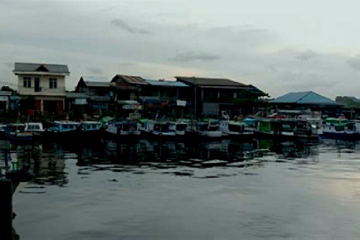 Sadie, 20 — Escort in Tanjung Lubuk, Indonesia