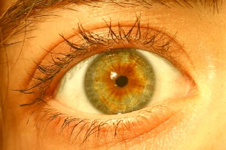 Sadie, 21, a red hazel-eyed indian companion based in Fenchen. Offering Tantra, Deep French Kissing. Available for incall and outcall, overnight bookings ava...