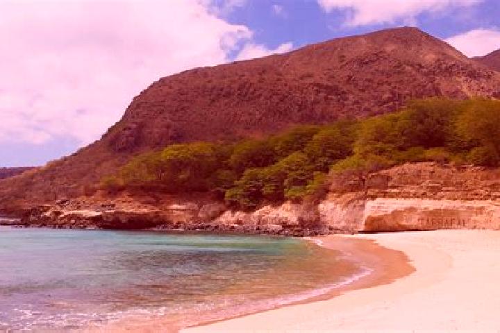 Sadie, 21 — Escort in Tarrafal, Cape Verde