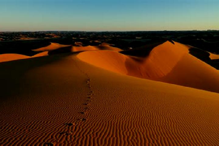 Sadie, 22 — Escort in Tadrart, Morocco