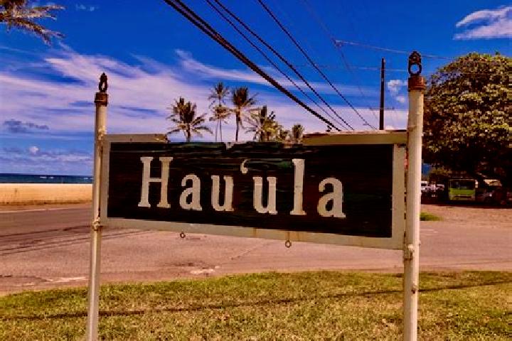 Sadie, 23 — Escort in Hau ula-Punalu u, United States