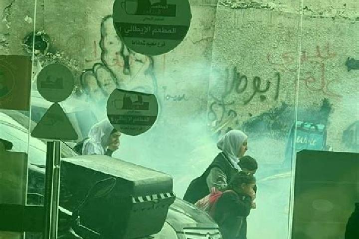 Sadie, 23 — Escort in Shu fat, Palestine