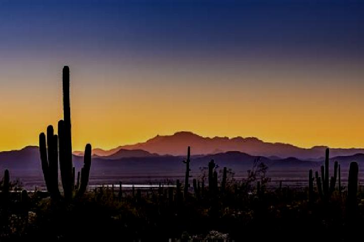 Sadie, 24 — Escort in Tucson Estates, United States