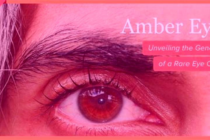Sadie, 25, a red amber-eyed caribbean companion based in Eilenburg. Offering Duos, Deep French Kissing, Fetish, OWO. Available for incall and outcall, overni...