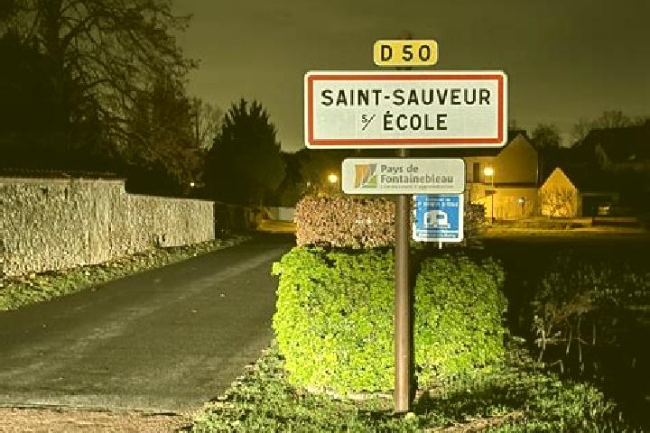 Sadie, 25 — Escort in Saint-Sauveur-sur-Ecole, France