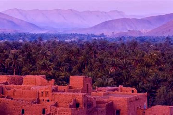 Sadie, 26 — Escort in Sidi Allal Tazi, Morocco