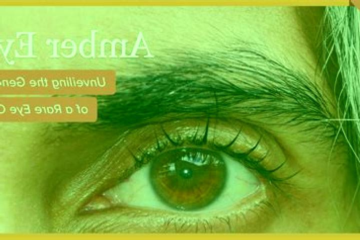 Sadie, 27, a black amber-eyed latina companion based in Morki. Offering OWO, Erotic Massage, BDSM, Fetish, Domination. Available for incall and outcall, day ...