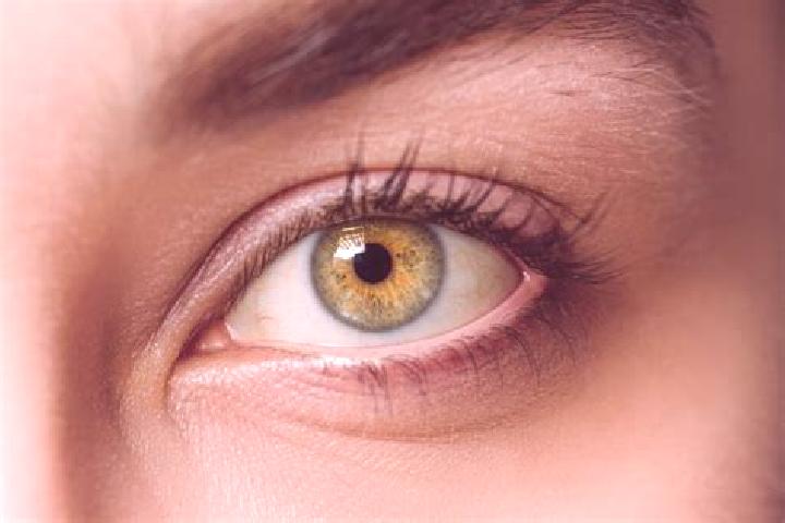 Sadie, 27, a black hazel-eyed mixed companion based in Hanbin. Offering Erotic Massage, 69, Striptease, CIM. Available for incall and outcall, overnight book...