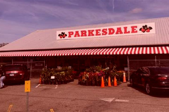 Sadie, 27 — Escort in Parksdale, United States