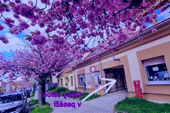 Sadie, 29 — Escort in Koseca, Slovakia