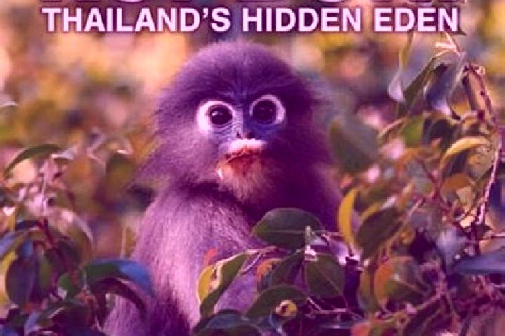 Sadie, 29 — Escort in Kui Buri, Thailand