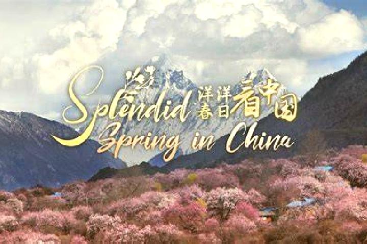 Sadie, 29 — Escort in Outing, China