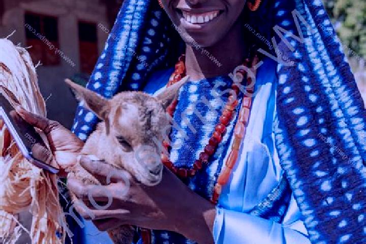 Sadie, 29 — Escort in Sinchu Alagi, Gambia