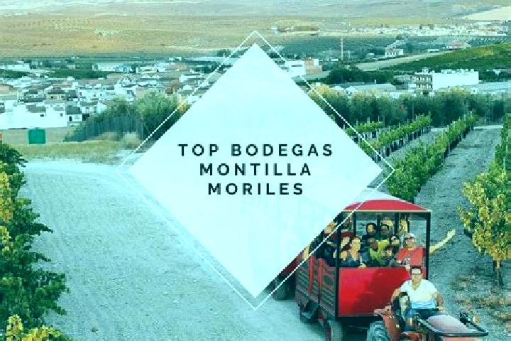 Sadie, 31 — Escort in Montilla, Spain