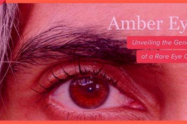 Sadie, 32, a red amber-eyed european companion based in Khandowa. Offering Tantra, A-Level, GFE. Available for incall and outcall, overnight bookings available.