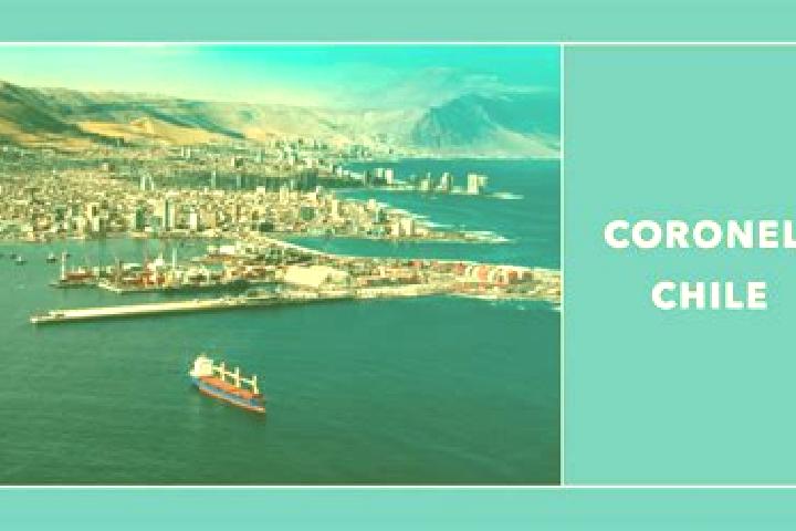 Sadie, 32 — Escort in Coronel, Chile