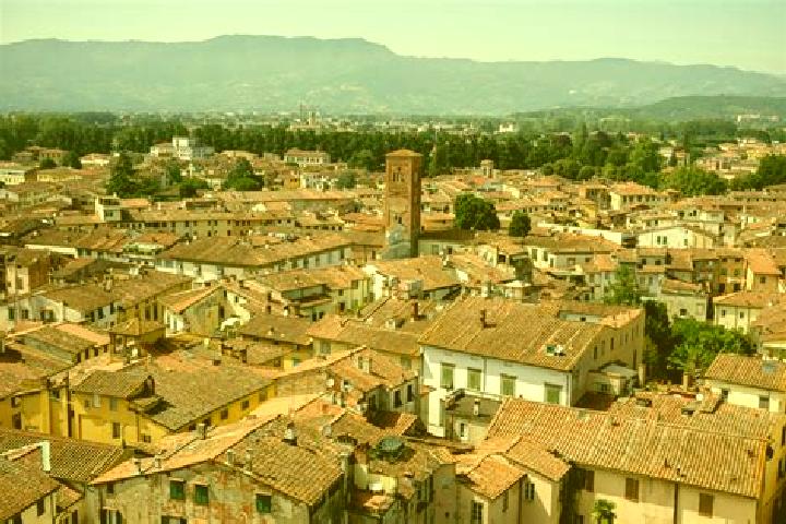 Sadie, 32 — Escort in Lucca Sicula, Italy