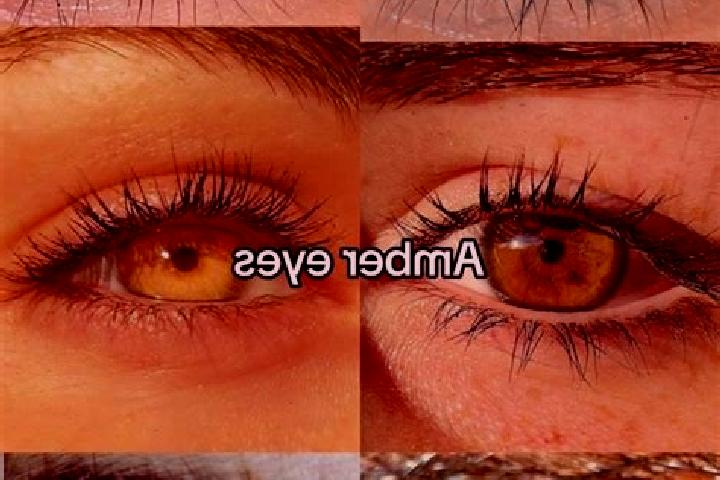 Sadie, 34, a brunette amber-eyed indian companion based in Macieira. Offering Fetish, Travel Companion, 69, Striptease, Duos. Available for incall and outcal...