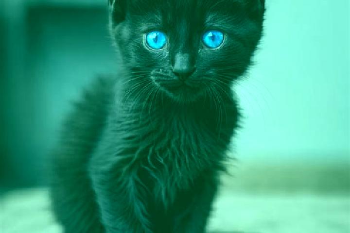 Sadie, 35, a black blue-eyed european companion based in Liozon. Offering Fetish, OWO, GFE. Available for incall and outcall, overnight bookings available.