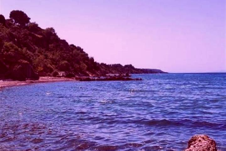 Sadie, 35 — Escort in Kato Achaia, Greece