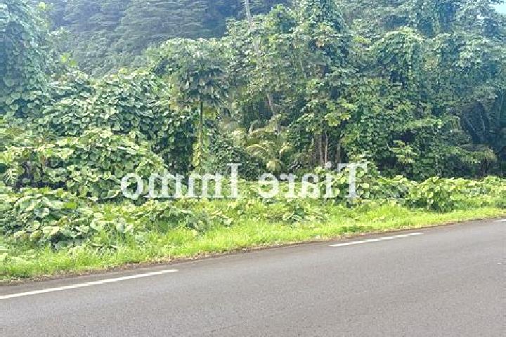 Sadie, 35 — Escort in Tiarei, French Polynesia