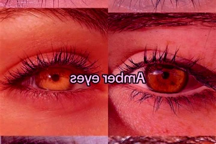 Sadie, 36, a chestnut amber-eyed slavic companion based in Arouca. Offering CIM, Couples, Roleplay. Available for incall and outcall, day and evening dates.