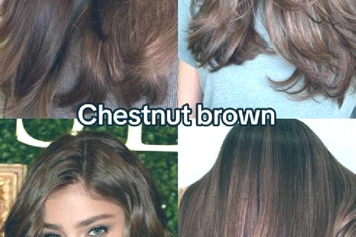 Sadie, 36, a chestnut brown-eyed mixed companion based in Horikoshi. Offering Deep French Kissing, GFE, CIM. Available for incall and outcall, overnight book...
