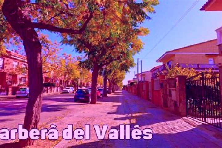 Sadie, 37 — Escort in Barbera del Valles, Spain