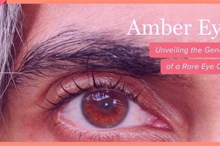 Sadie, 38, a red amber-eyed caucasian companion based in Burgsponheim. Offering Overnight, Massage, Travel Companion. Available for incall and outcall, day a...