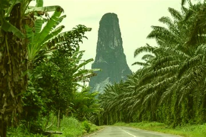 Sadie, 39 — Escort in Monte Cafe, Sao Tome and Principe