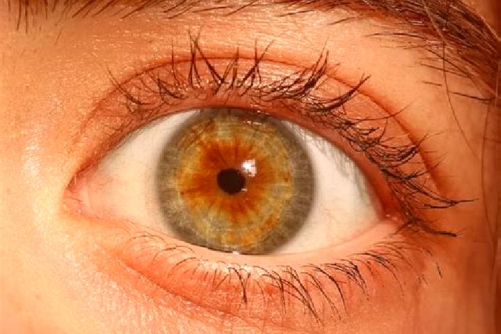 Sage, 20, a red hazel-eyed indian companion based in Narlica. Offering Overnight, Domination, Fetish, Roleplay. Available for incall and outcall, overnight b...