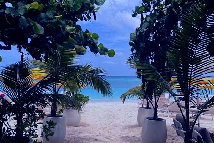 Sage, 21 — Escort in Molusca Heights, Cayman Islands