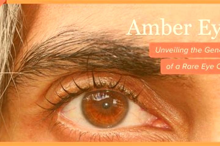 Sage, 22, a red amber-eyed mixed companion based in Breal-sous-Vitre. Offering OWO, Tantra, Deep French Kissing. Available for incall and outcall, day and ev...