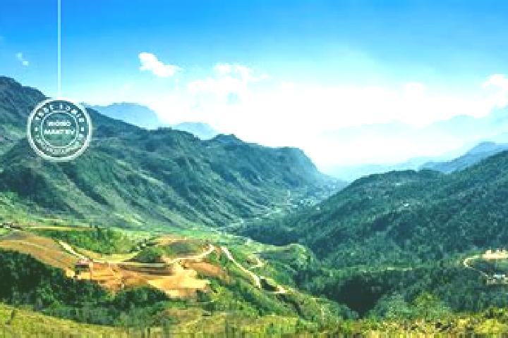 Sage, 23 — Escort in Lao Cai, Vietnam