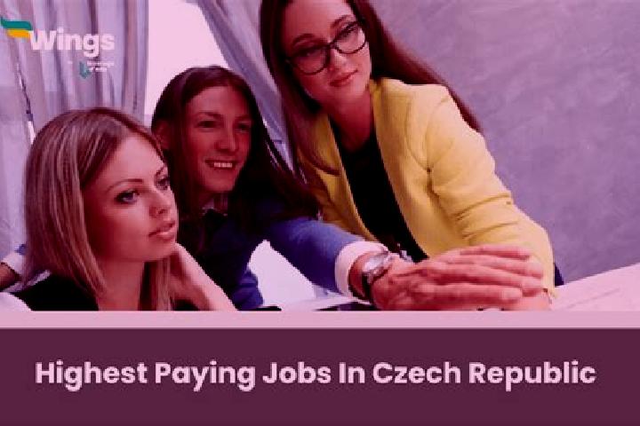Sage, 24 — Escort in Jicineves, Czech Republic