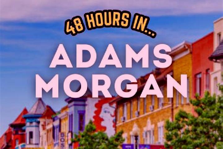 Sage, 25 — Escort in Adams Morgan, United States