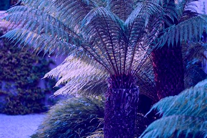 Sage, 26 — Escort in Fern Tree, Australia