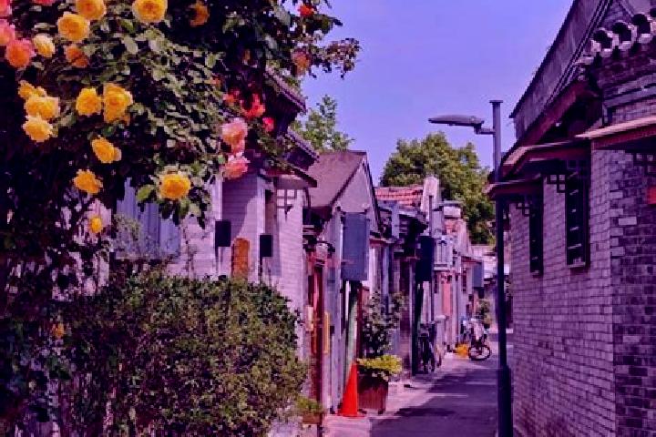 Sage, 26 — Escort in Hudong, China