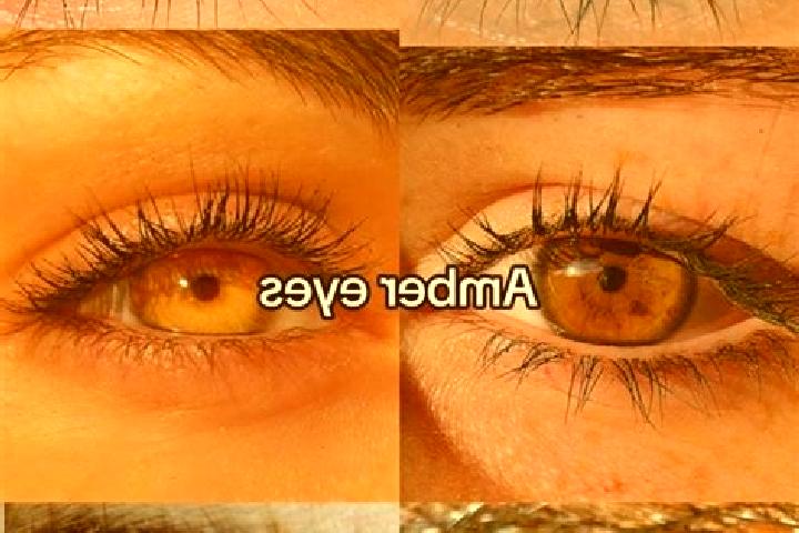 Sage, 27, a chestnut amber-eyed indian companion based in Nava Bhildi. Offering Fetish, Domination, OWO, Massage. Available for incall and outcall, day and e...